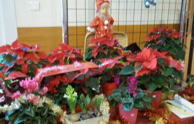Réunion de préparation marché de Noël